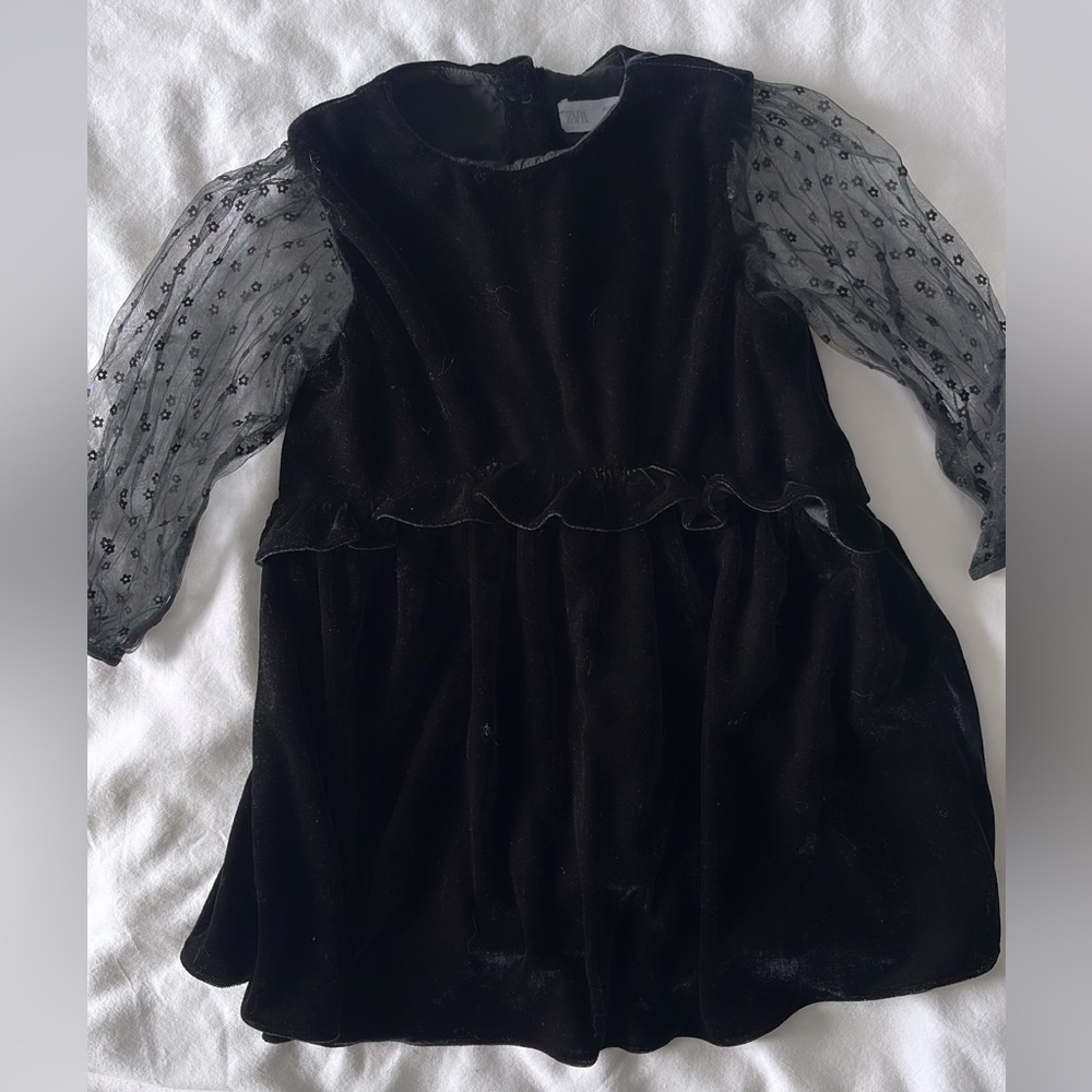 Zara Velvet Dress (Size 4/5)